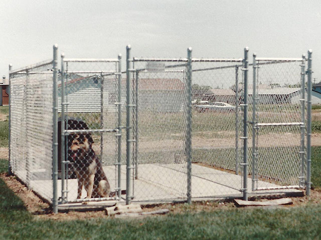 Industrial Dog Kennels by Elyria Fence